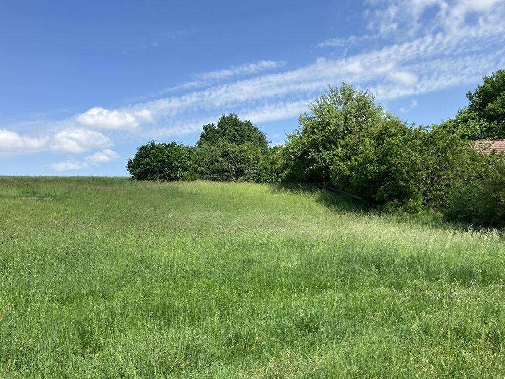 Baugrundstück mit Weitblick am Feldrand in Roitzschen, 1665 Klipphausen