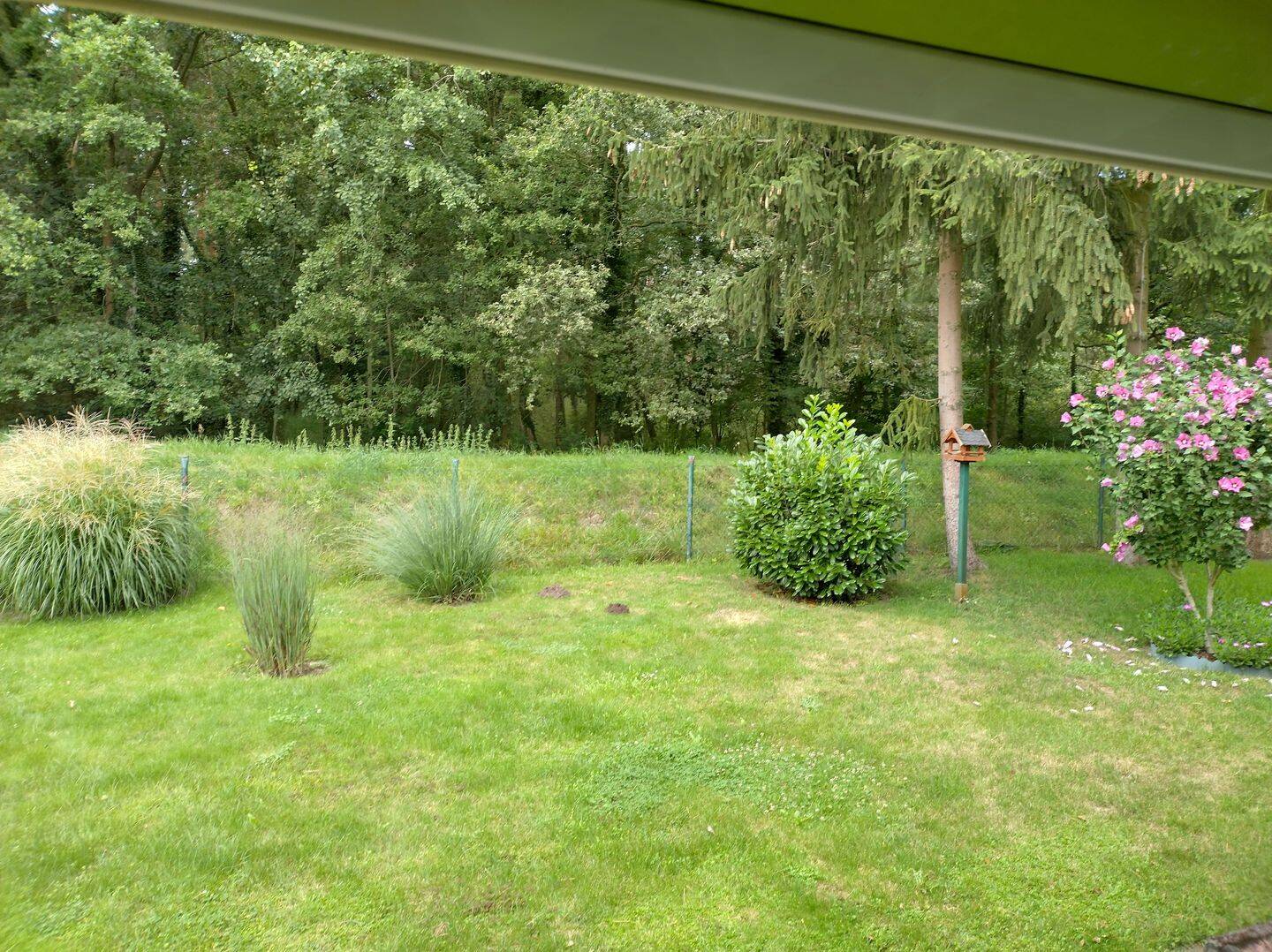 Attraktives Grundstück mit Waldblick in Kiekebusch!!!, 3051 Cottbus (Gallinchen Groß Gaglow Kahren Kiekebusch)