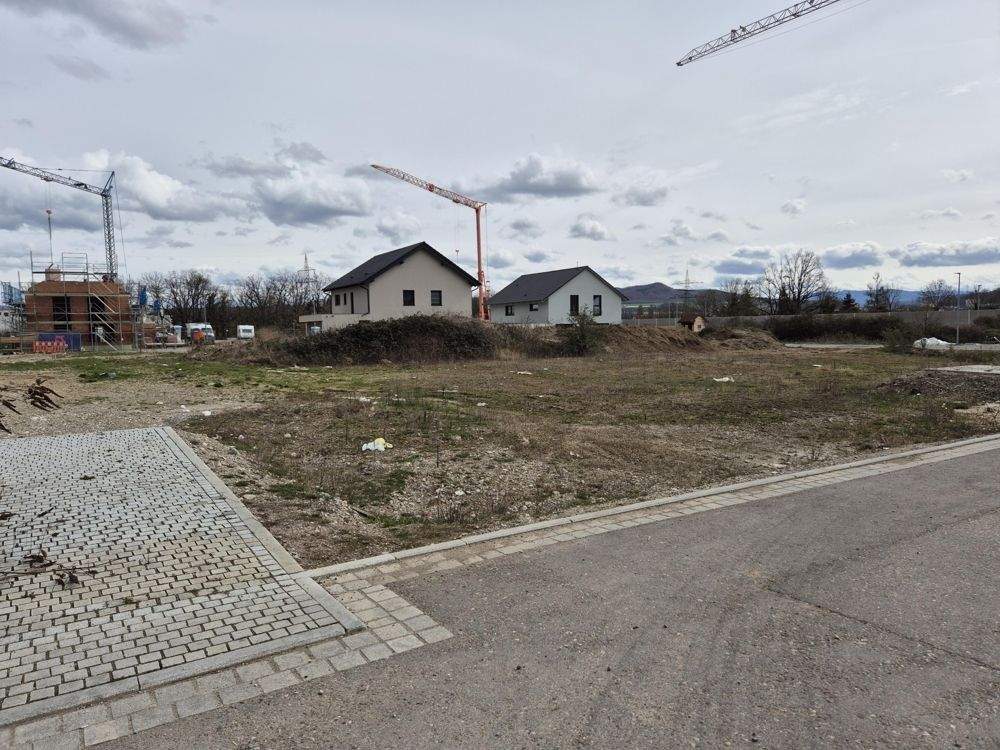 +++ AVERNET – GRUNDSTÜCKE FÜR BIS ZU 10 REIHENHÄUSERN – NEUBAUGEBIET KAPELLENBACH-OST IN WYHLEN +++, 79639 Grenzach-Wyhlen
