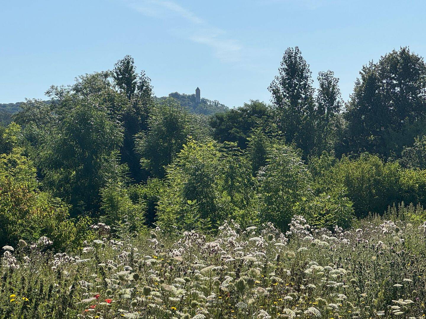 Wohnen unterhalb der Burgruine Plesse- Baugrundstück in Bovenden mit Bebauung nach § 34 BauGB – auch teilbar !, 37120 Bovenden