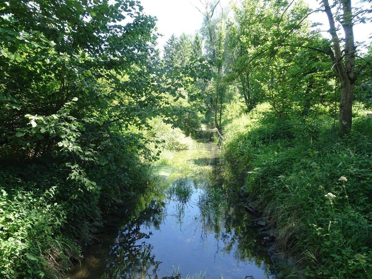 besondere Immobilie, 94072 Bad Füssing