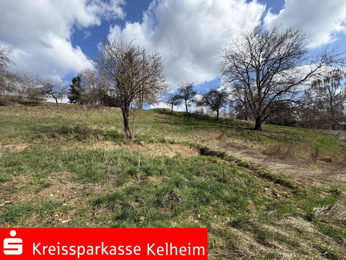 Südhang-Grundstück in Ihrlerstein – Ruhe, Sonne, Ausblick!, 93346 Ihrlerstein