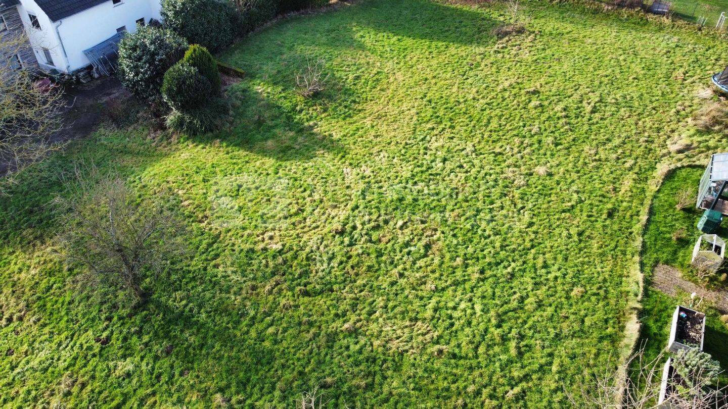 Attraktives, ebenerdiges Baugrundstück zum Bau bereit, in naturnaher Lage von Seelscheid, 53819 Neunkirchen-Seelscheid