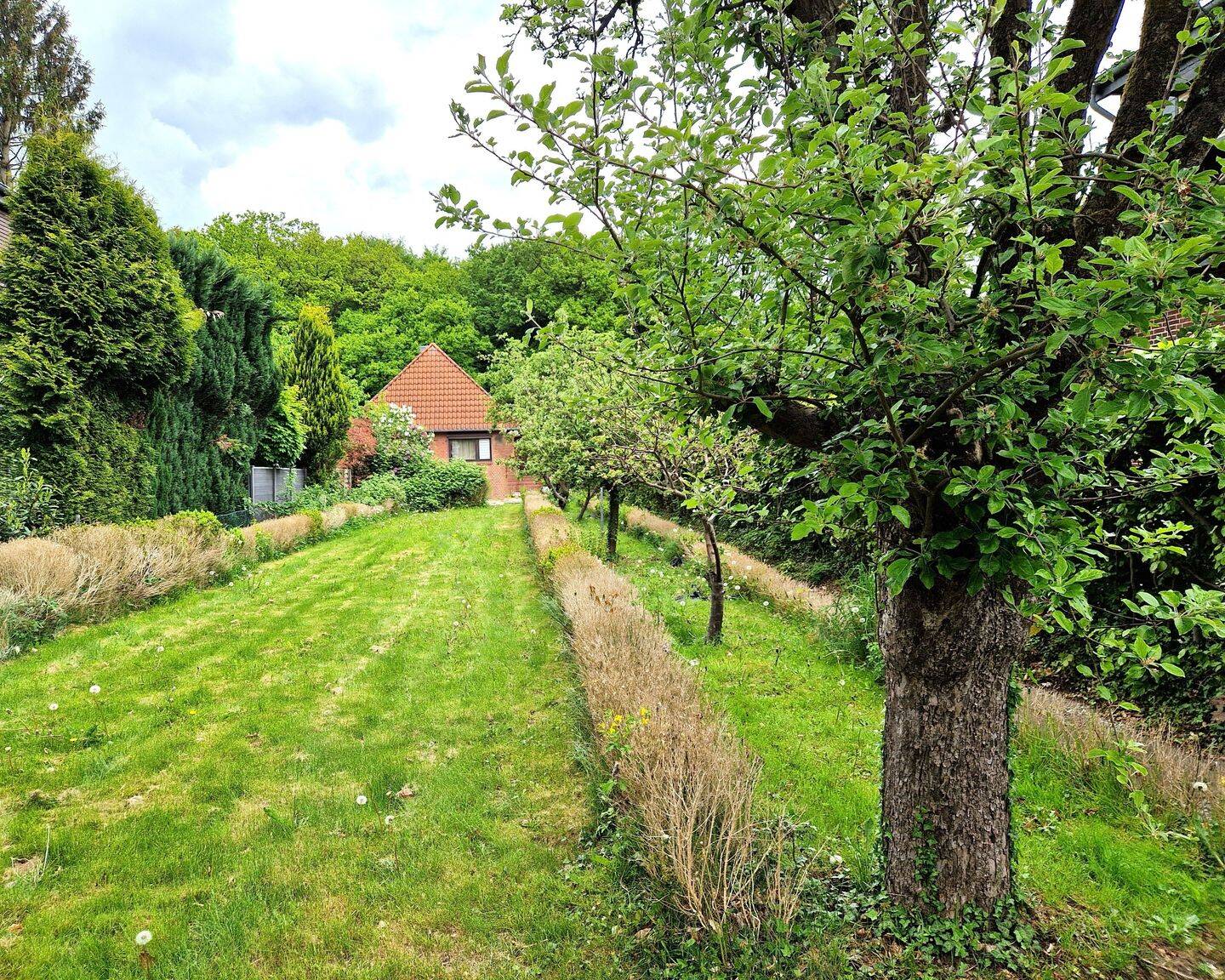 Grünes Areal am Volksdorfer Waldrand mit Optionen!, 22145 Hamburg (Wandsbek Farmsen-Berne Rahlstedt)