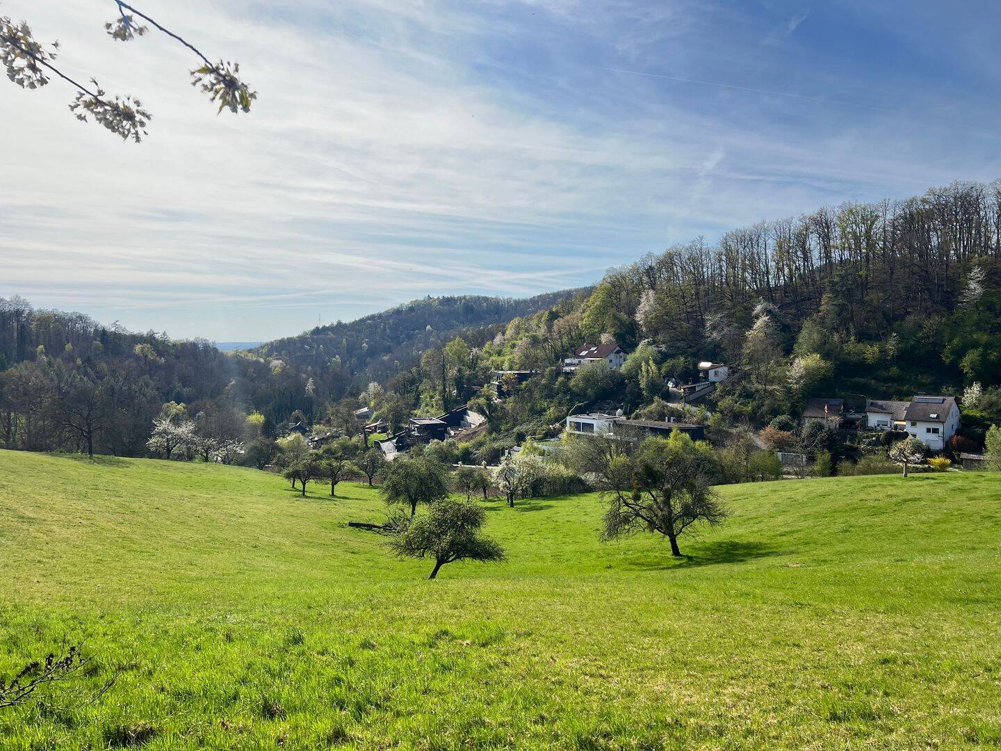 Südhanggrundstück in ruhiger Lage mit unverbautem Ausblick, 64625 Bensheim