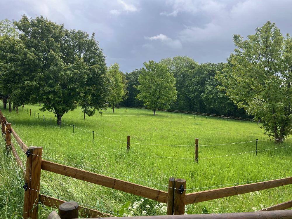 Idyllisches Wiesen- und Weidegrundstück in begehrter Lage direkt an der Hohensyburg!, 44265 Dortmund