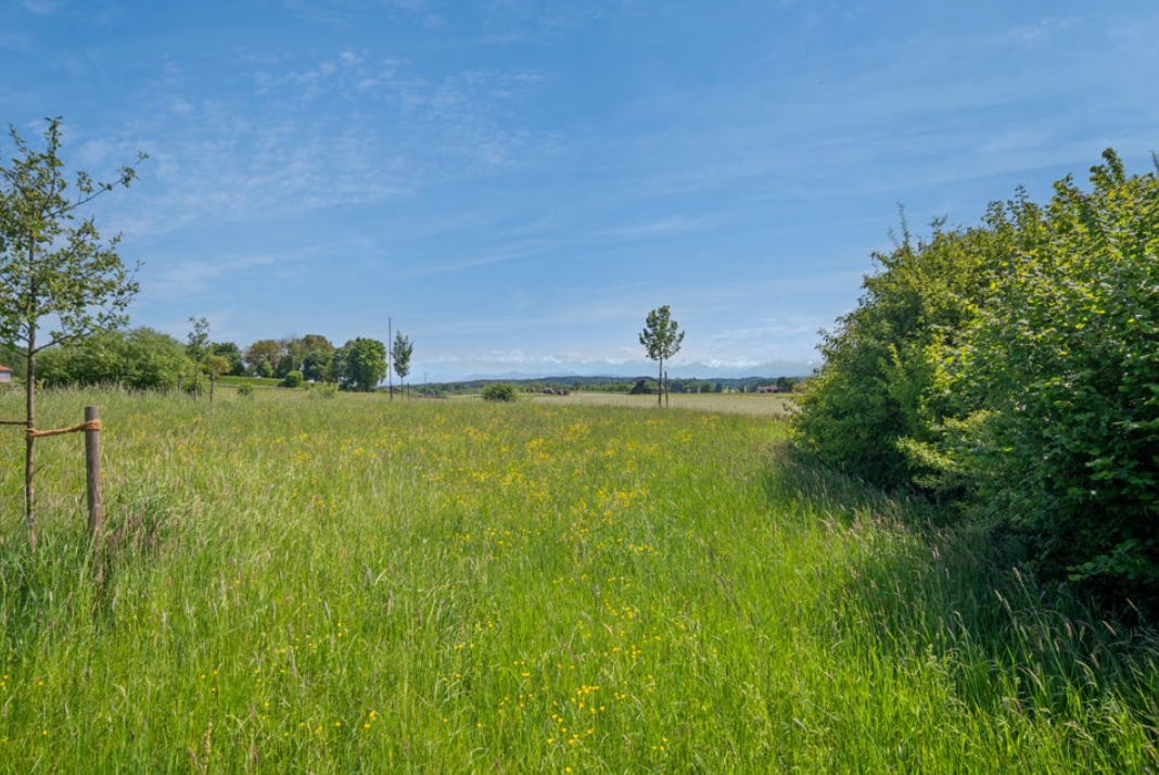 BAUGRUNDSTÜCK MIT PANORAMA-BERGBLICK, 82396 Pähl