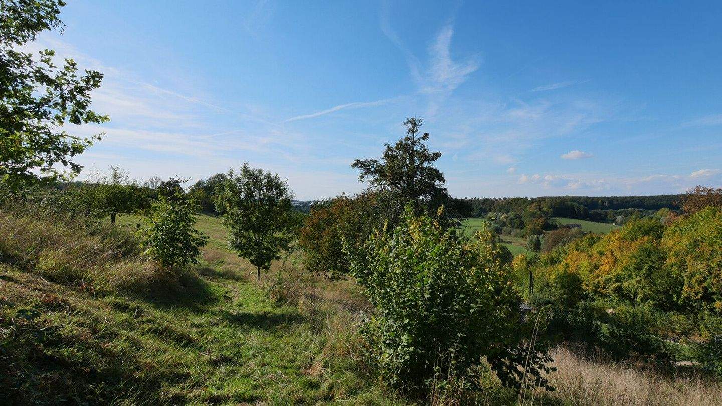 Baugrundstück mit Panorama-Aussicht am Ortsrand von Büren / Wewelsburg, 33142 Büren