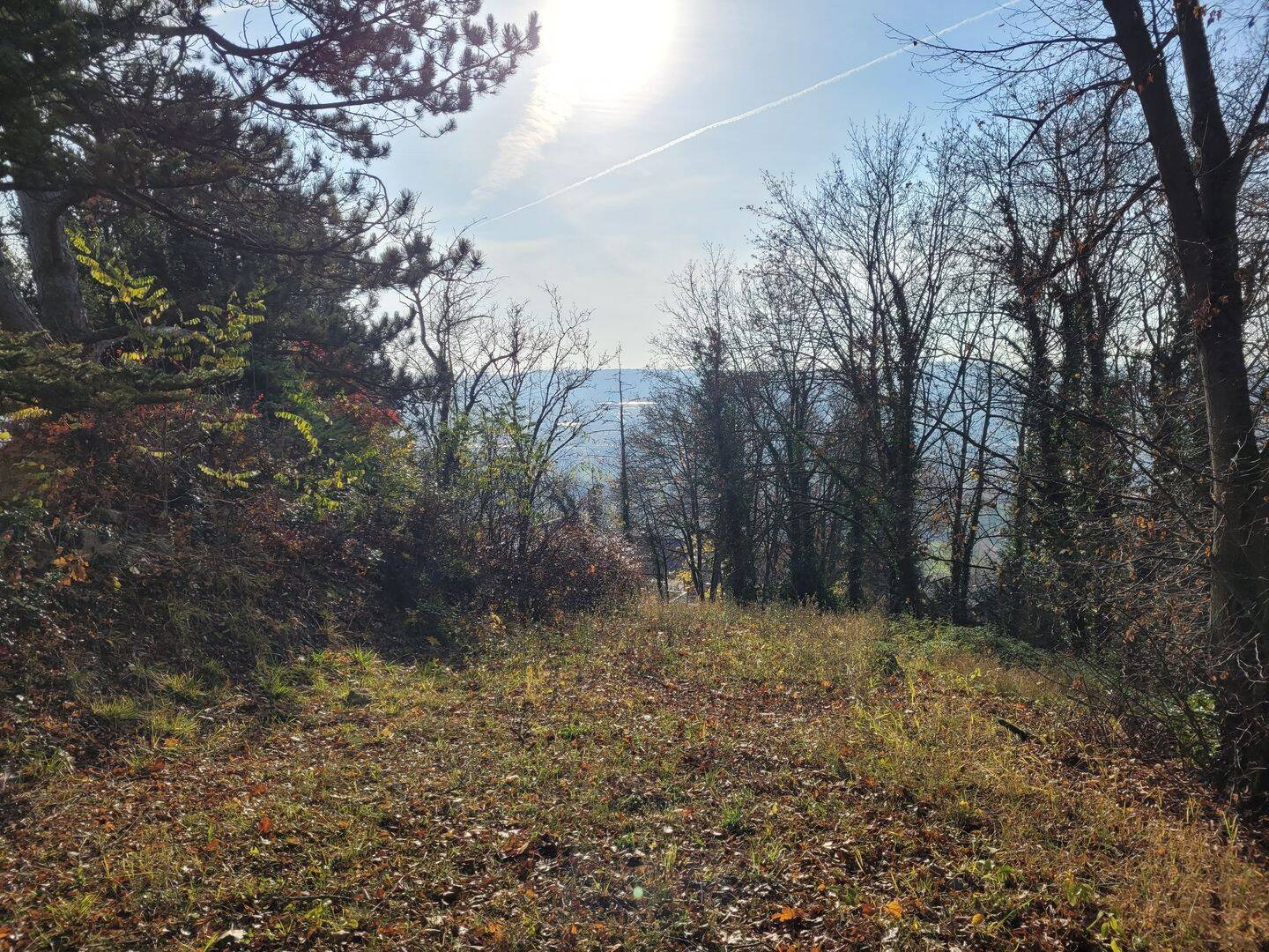 Grundstück mit 1.175m² am Südhang in Ochsenfurt für 220 €/m² zu verkaufen! Provisionsfrei !, 97199 Ochsenfurt