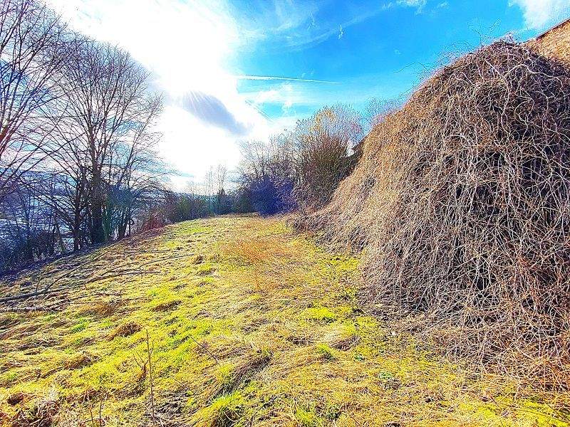 Großzügiges Grundstück in guter Lage von Bad Hersfeld zu Verkaufen!, 36251 Bad Hersfeld