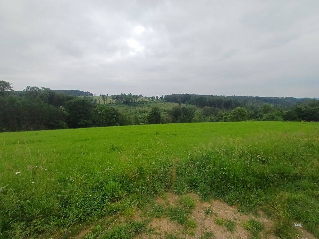Zwischen Hennef und Ruppichteroth: Naturnahes Grundstück mit schönem Ausblick am Ortsrand, 53809 Ruppichteroth