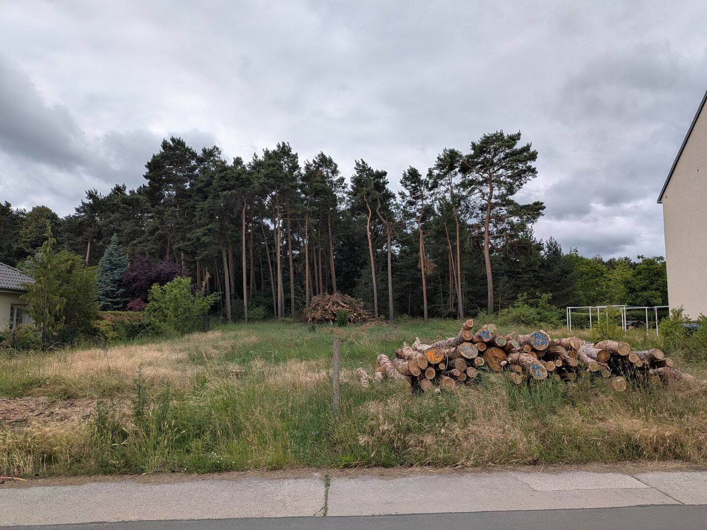 5.506 m² Grundstück mit beidseitiger Anbindung und Entwicklungspotenzial, 6901 Kemberg