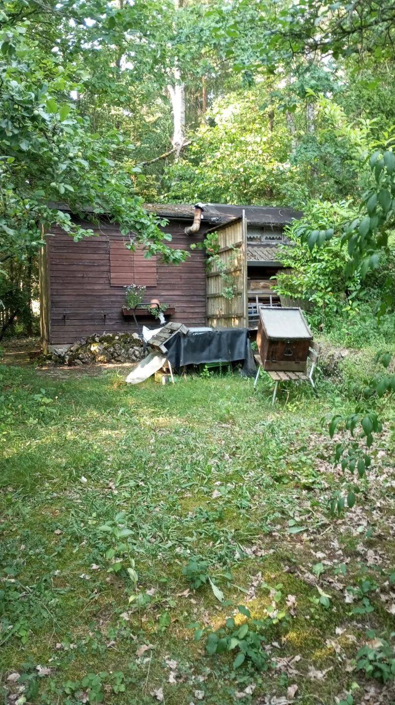 Waldgrundstück mit Gartenlaube zu verkaufen – 1.782 m², westlich von Amberg, 92224 Amberg