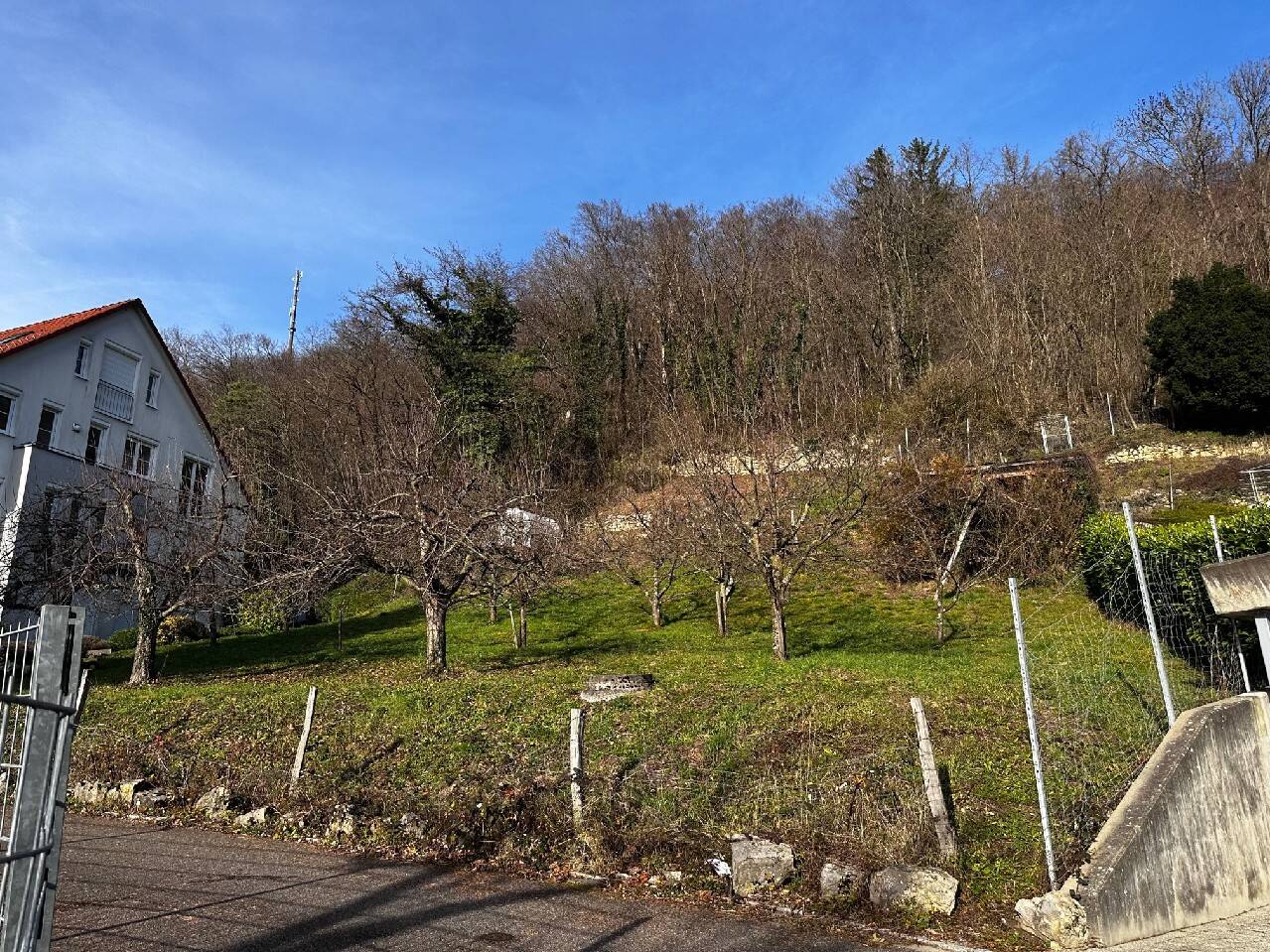 Träume sind dazu da, sie zu erfüllen! Wunderschönes Baugrundstück in Grenzach., 79639 Grenzach-Wyhlen