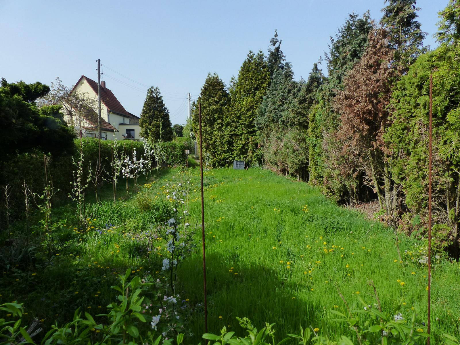Grundstück in Riesa zu verkaufen – Gemarkung Gröba, 1591 Riesa