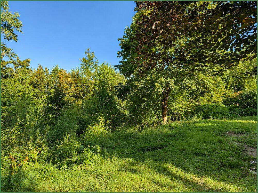Baugrundstück mit Wald – Erschlossen –  in Dabringhausen/Wermelskirchen, 42929 Wermelskirchen