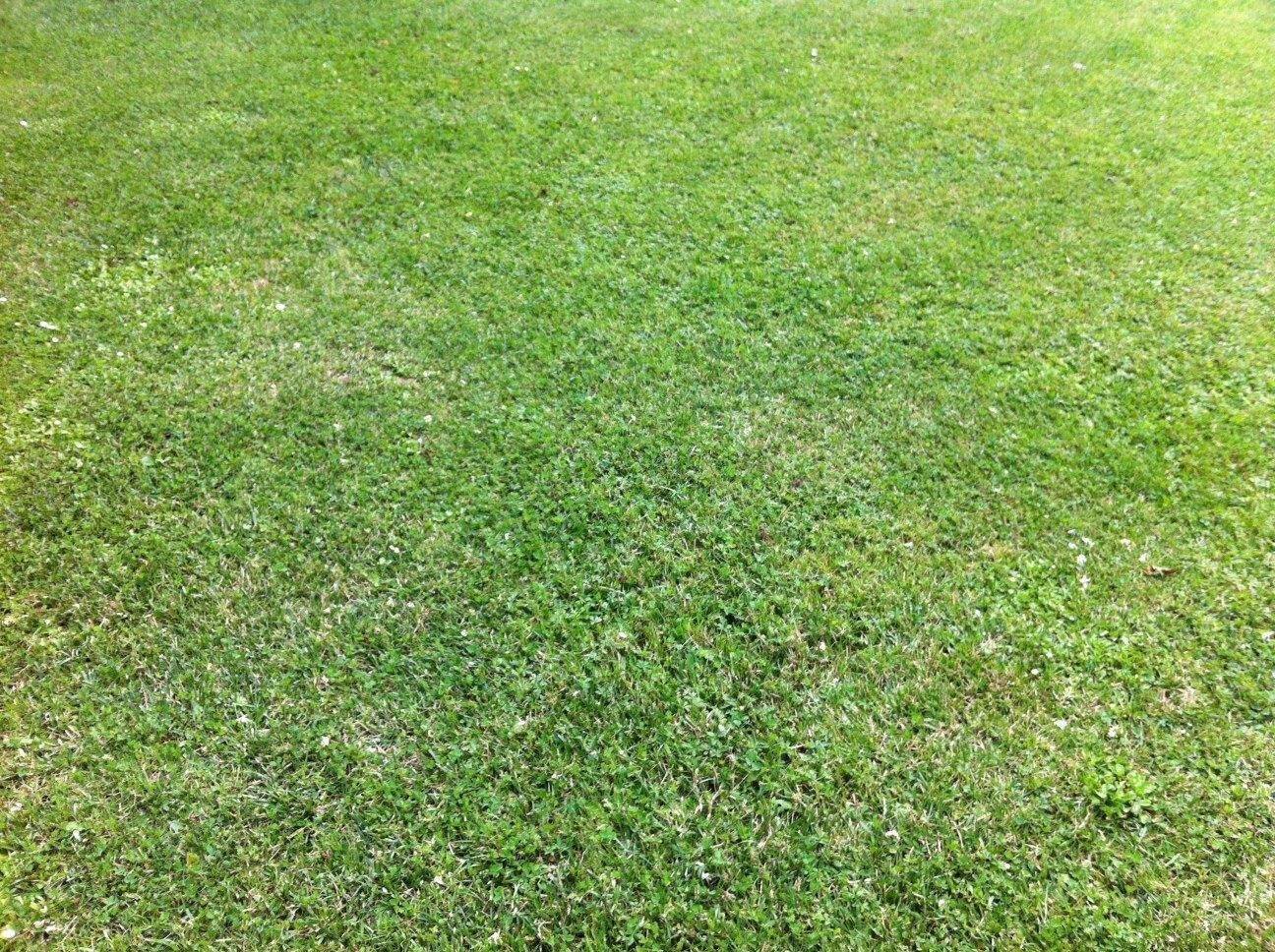 Baugrundstück 1.079 m² in 39264 Zerbst OT Jütrichau, 39264 Zerbst/Anhalt