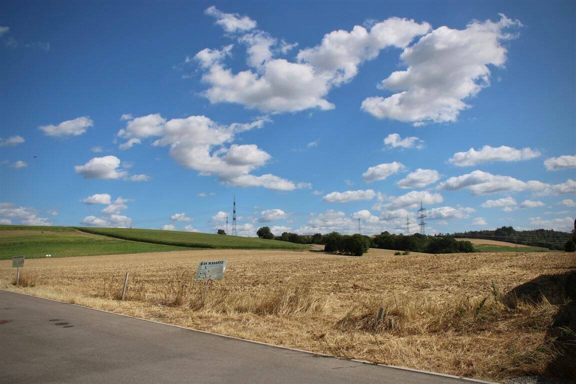 Großzügiges Grundstück mit vielfältigen Möglichkeiten-Wohnen, Investieren und Natur verbinden, 74921 Helmstadt-Bargen