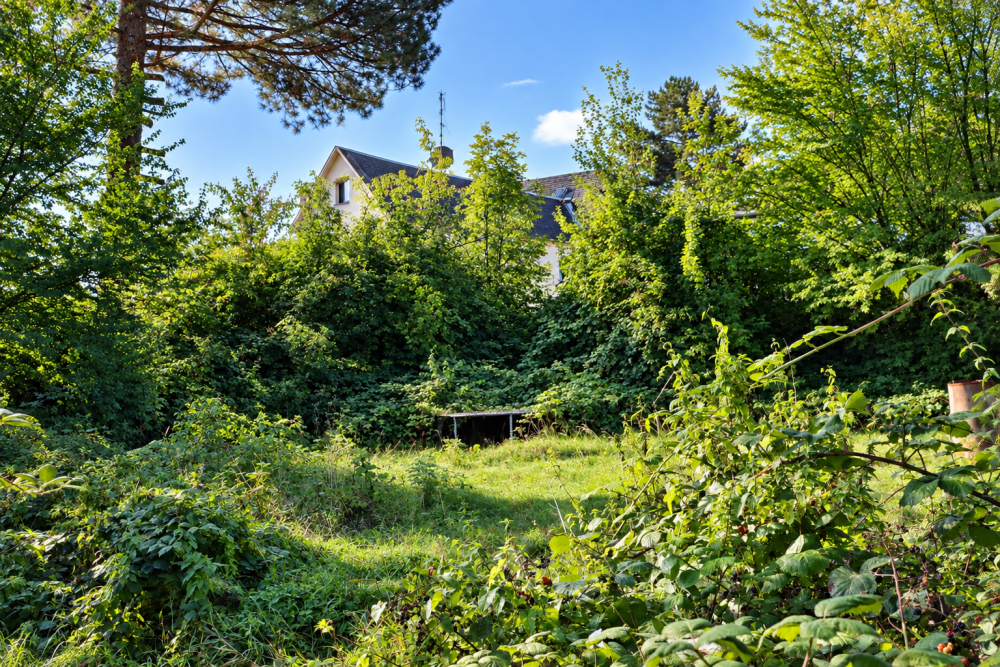 Grünes Gartengrundstück mit viel Raum für eigene Ideen, 9212 Limbach-Oberfrohna