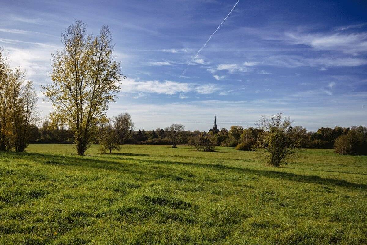 Pappeltor – Die Natur direkt vor der Tür, 14548 Schwielowsee