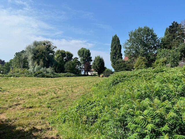 Baugrundstück in seenaher Lage, Badestrand in unmittelbarer Umgebung, 88085 Langenargen