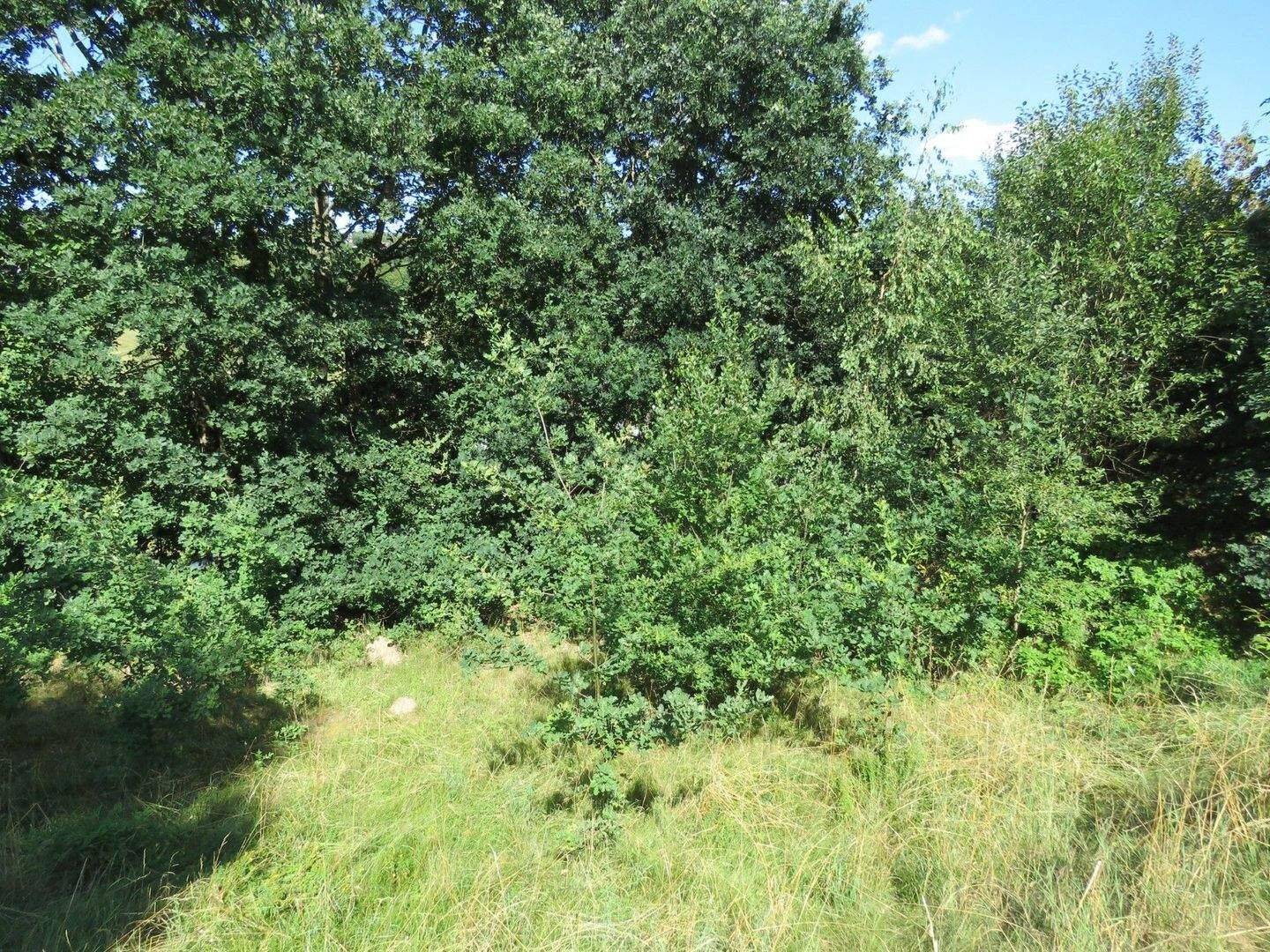 2 Baugrundstücke in sehr ruhiger und idyllischer Stadtrandlage auf einer Anhöhe mit Fernsicht, 94234 Viechtach