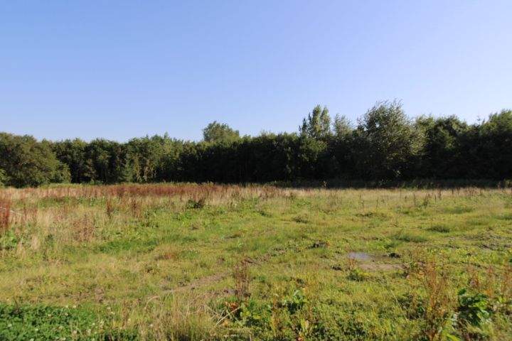 Baugrundstück mit Südausrichtung in Butjadingen-Eckwarden, 26969 Butjadingen