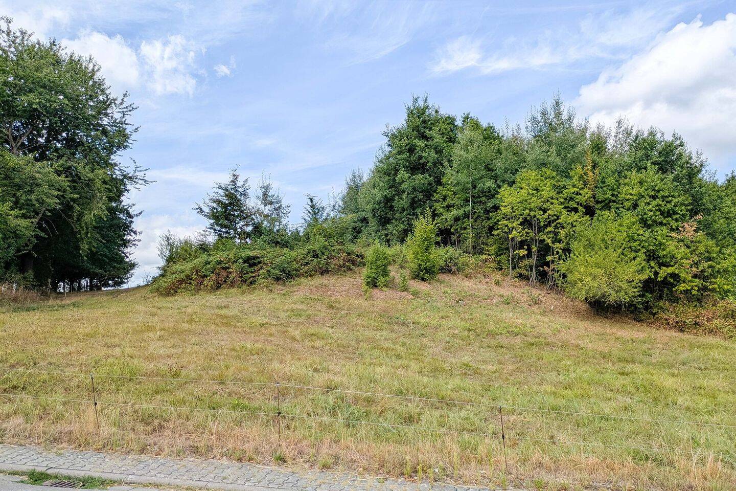 Toller Bauplatz in bevorzugter Lage von Rimbach: Unverbaubare Feldrandlage, optional 2. Grundstück!, 64668 Rimbach