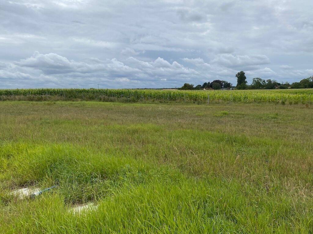 Schön gelegenes Grundstück im Neubaugebiet mit tollem Blick ins Grüne, 24398 Dörphof