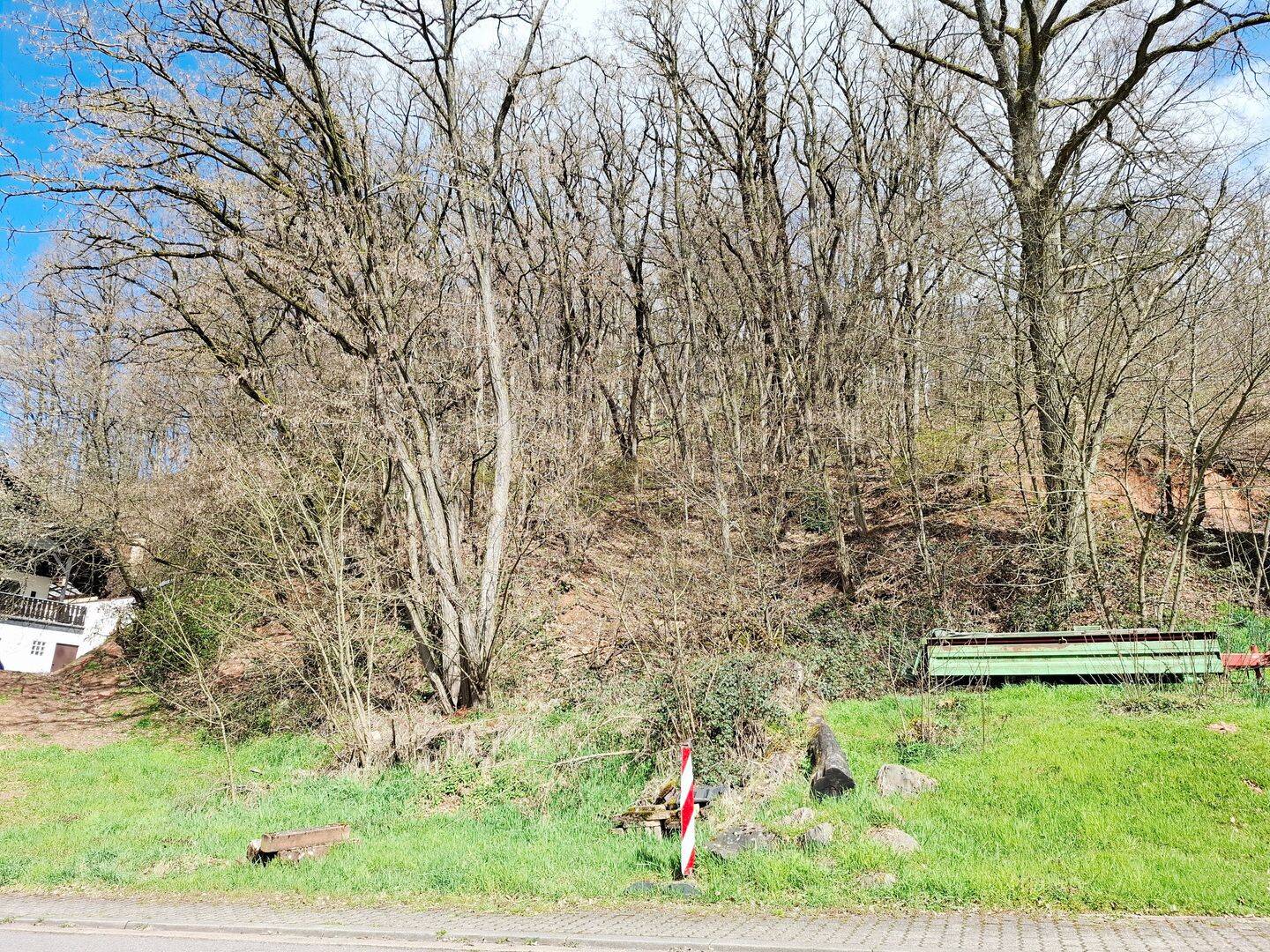 Wohnen, wo der Wald beginnt: Großzügiges Baugrundstück mit eigenem Baumbestand in Beckingen-Reimsbach, 66701 Beckingen