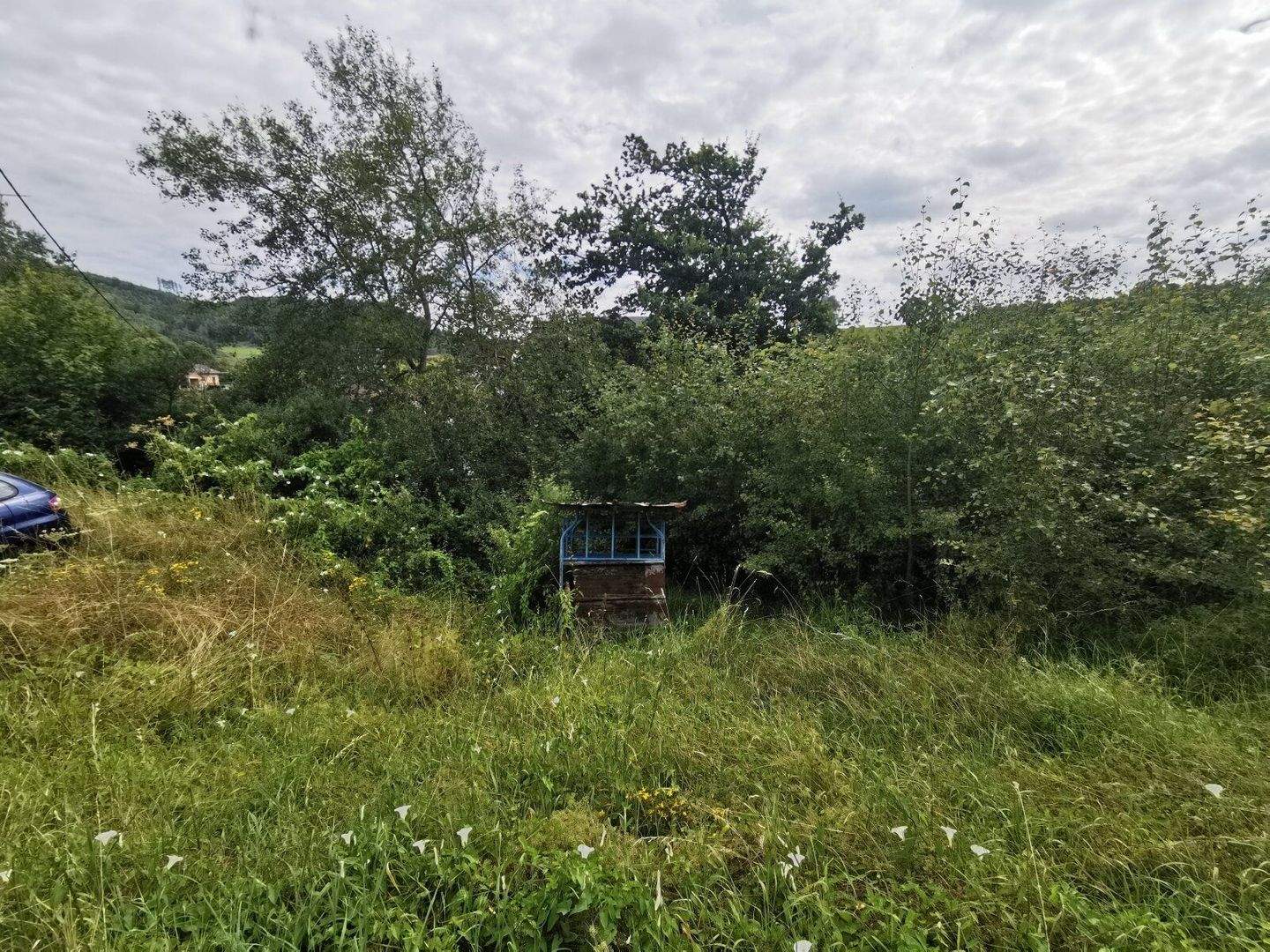 Grundstück in ruhiger Lage von Bad Laasphe-Banfe, 57334 Bad Laasphe