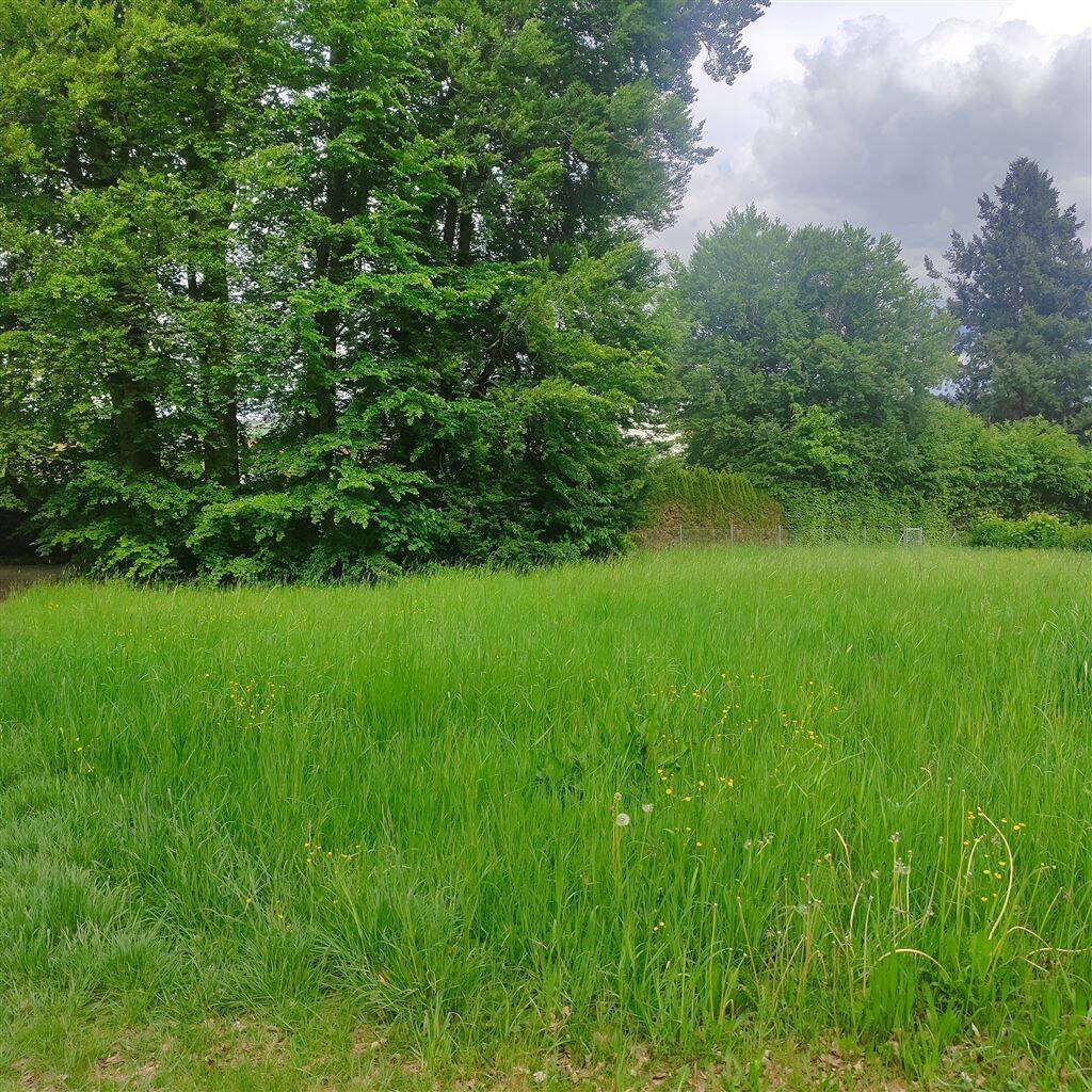 Exklusives Grundstück zur freien Bebauung in Bad Saulgau, 88348 Bad Saulgau