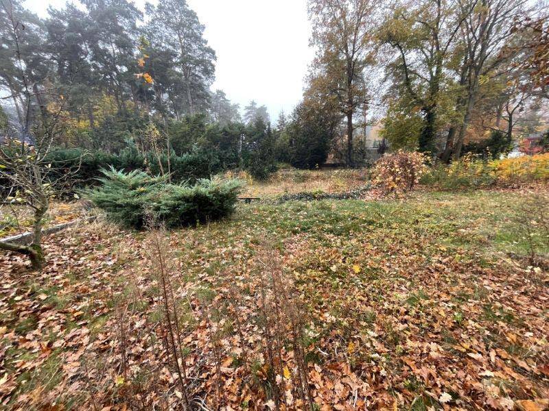 Baugrundstück in gefragter Lage im schönen Schildow, 16552 Mühlenbecker Land