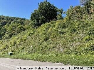 Baugrundstück plus landwirtschaftliche Fläche, 67757 Kreimbach-Kaulbach
