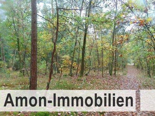 Waldfläche ca. 15.660 m² Waldgrundstück / Mischwald am Dorfrand, 29365 Sprakensehl