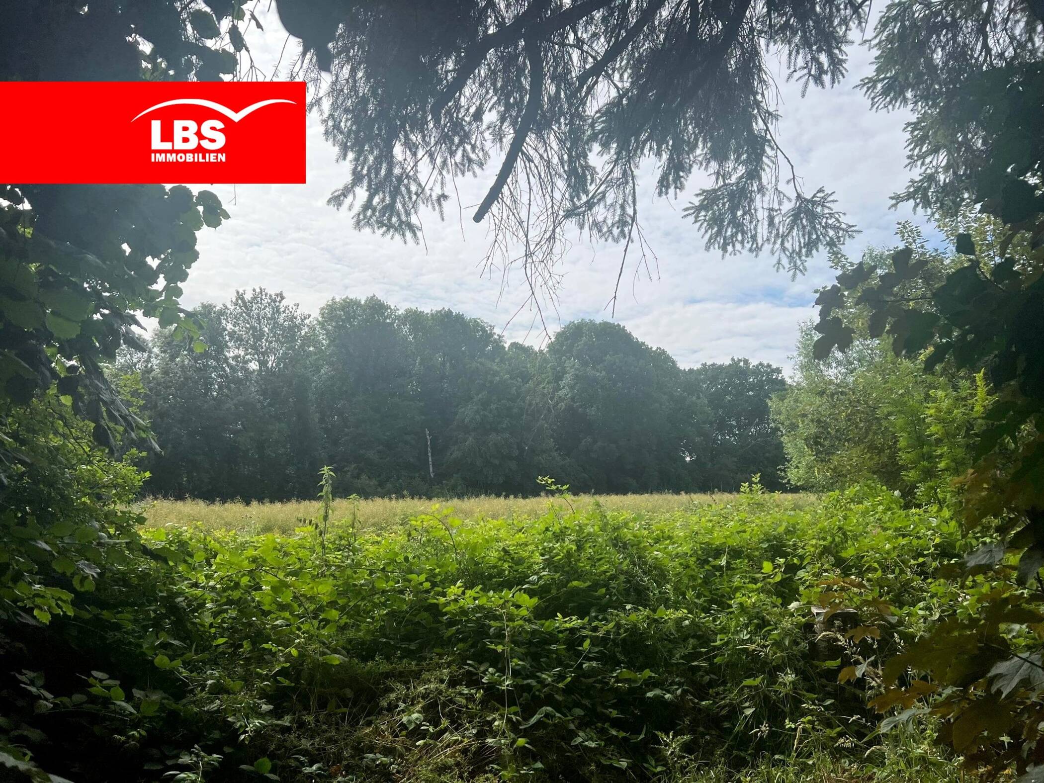 Großzügiges Baugrundstück in Bestlage Bad Oeynhausens!, 32547 Bad Oeynhausen
