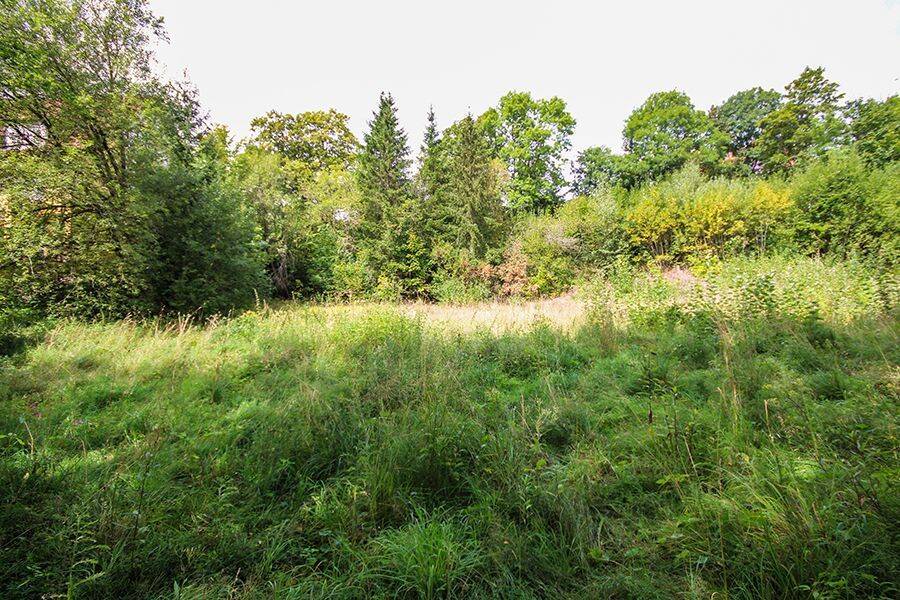 Braunlage-Sankt Andreasberg: Idyllisches Grundstück für Ferienhäuser!, 37444 Braunlage