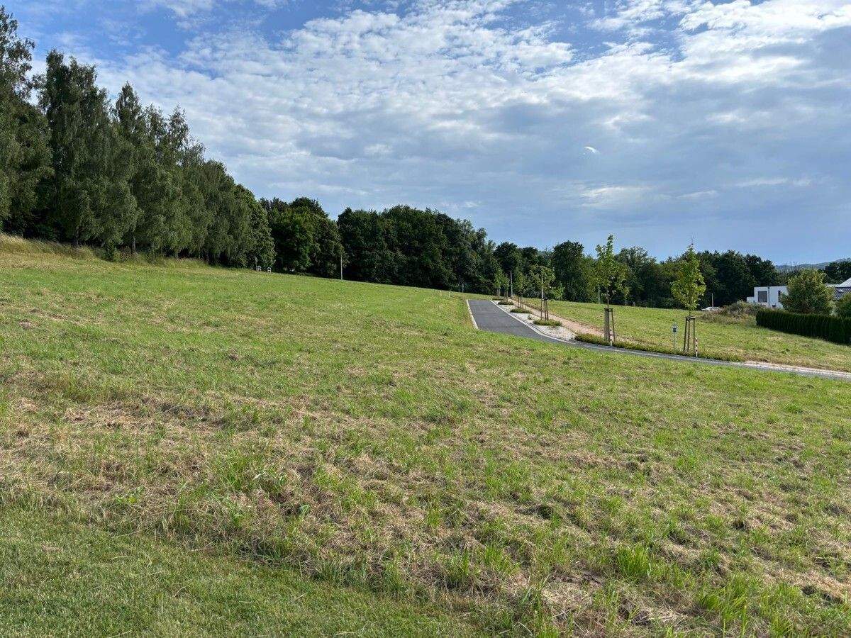 Grundstücke in Sontra/Wichmannshausen – Bauträgerfrei und Erschlossen, 36205 Sontra