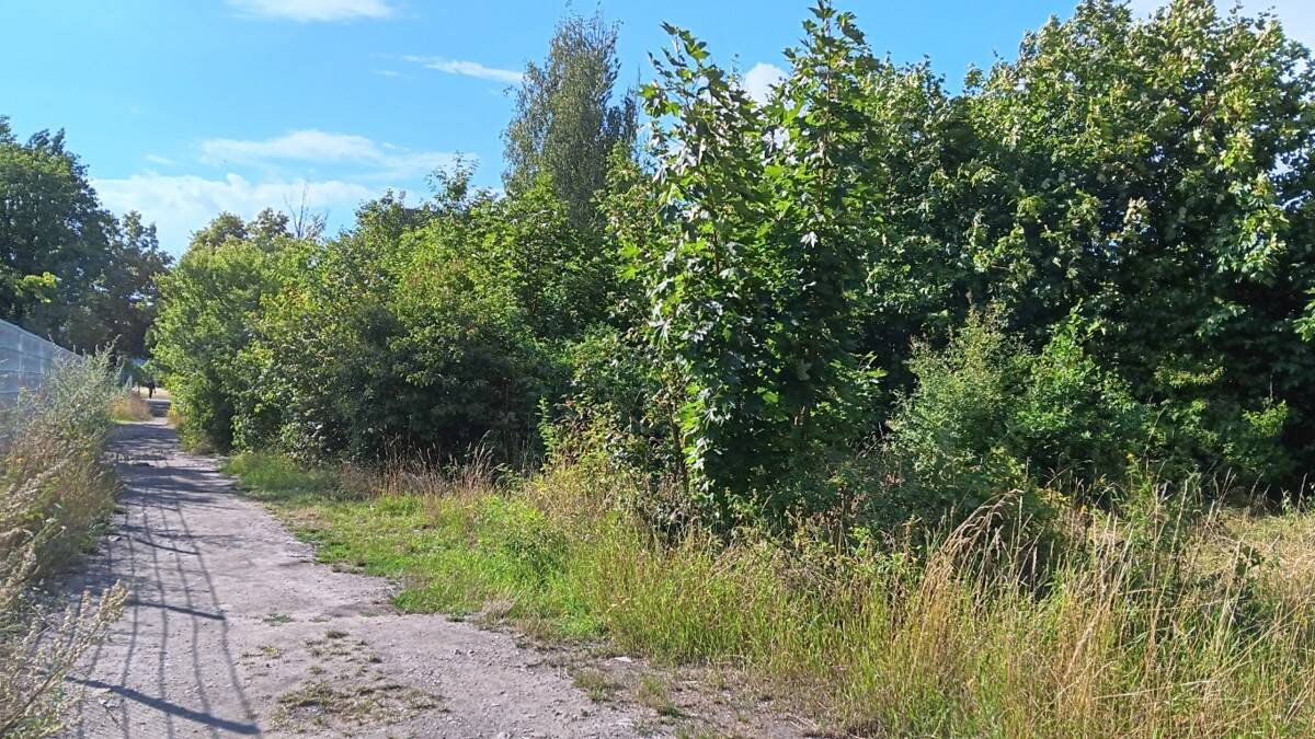 Grundstück in Saalfeld zu verkaufen, 7318 Saalfeld/Saale