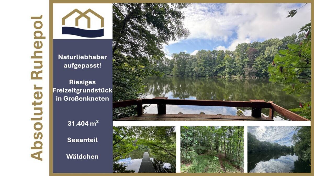 Exklusive Seeliegenschaft in Großenkneten 31.404m² Naturidyll mit privatem Steg und eigenem Wäldchen, 26197 Großenkneten