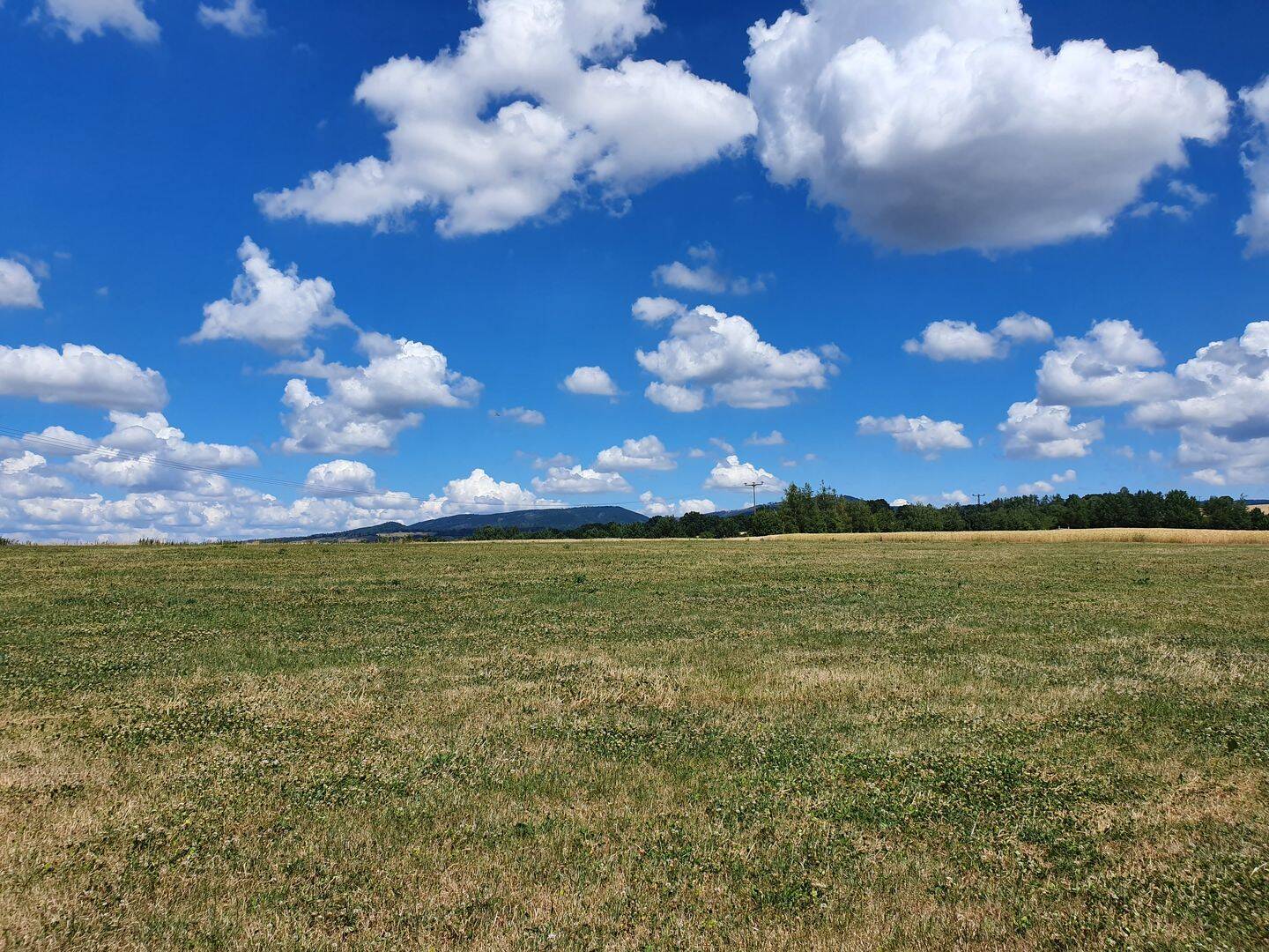 RESERVIERT! Sonniges Baugrundstück in sonniger Lage,voll erschlossen, bauträgerfrei, sofort bebaubar, 36456 Barchfeld-Immelborn