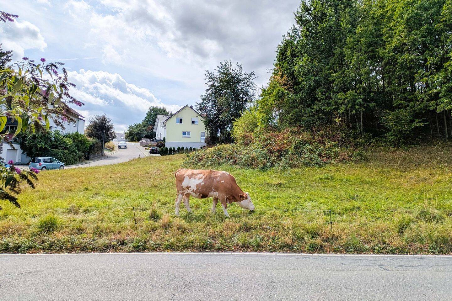 Toller Bauplatz in bevorzugter Lage von Rimbach: Unverbaubare Feldrandlage, optional 2. Grundstück!, 64668 Rimbach