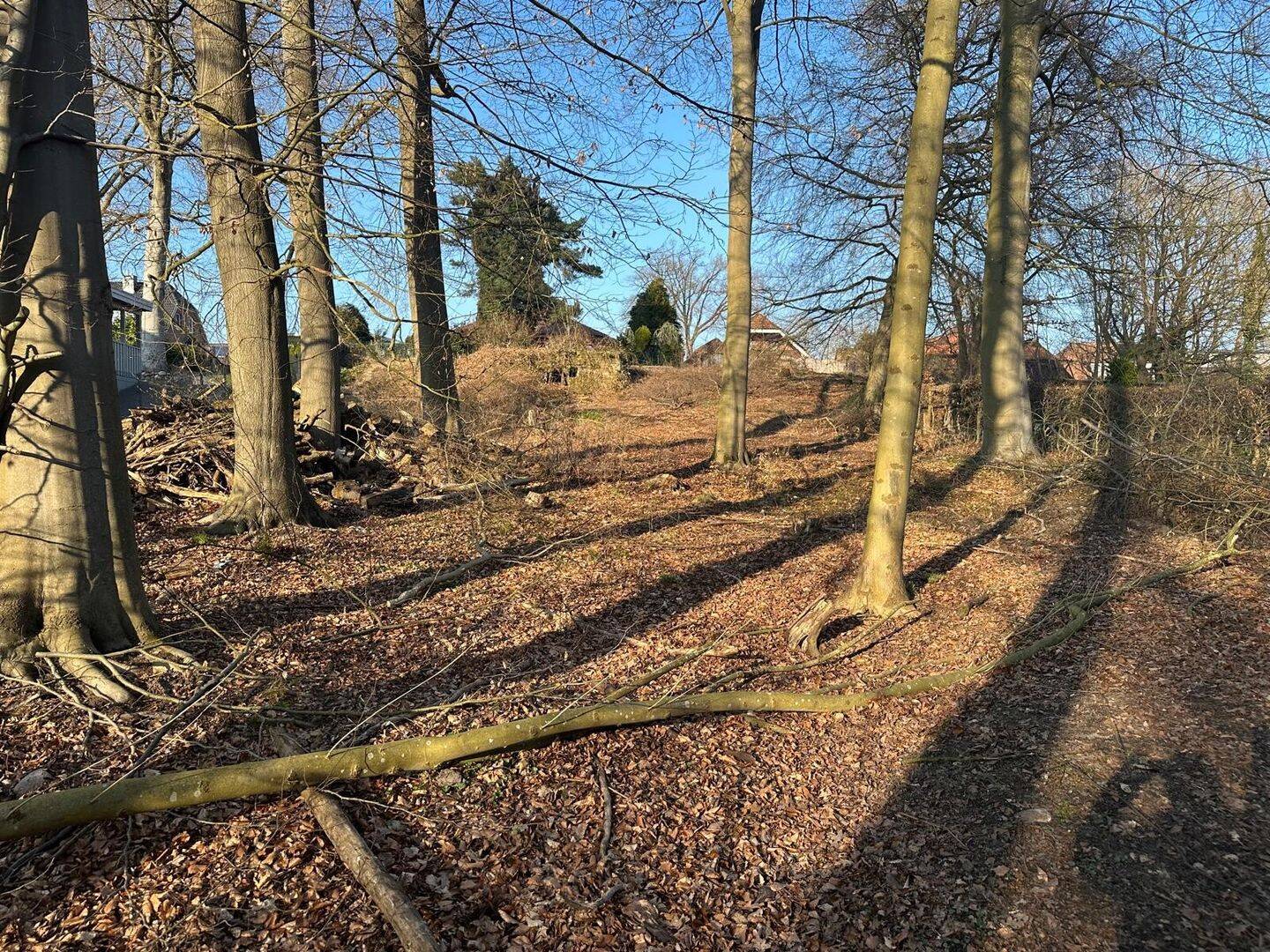 Erfüllen Sie sich Ihren Wohntraum – großes Baugrundstück in der Natur – Büchen, 21514 Büchen