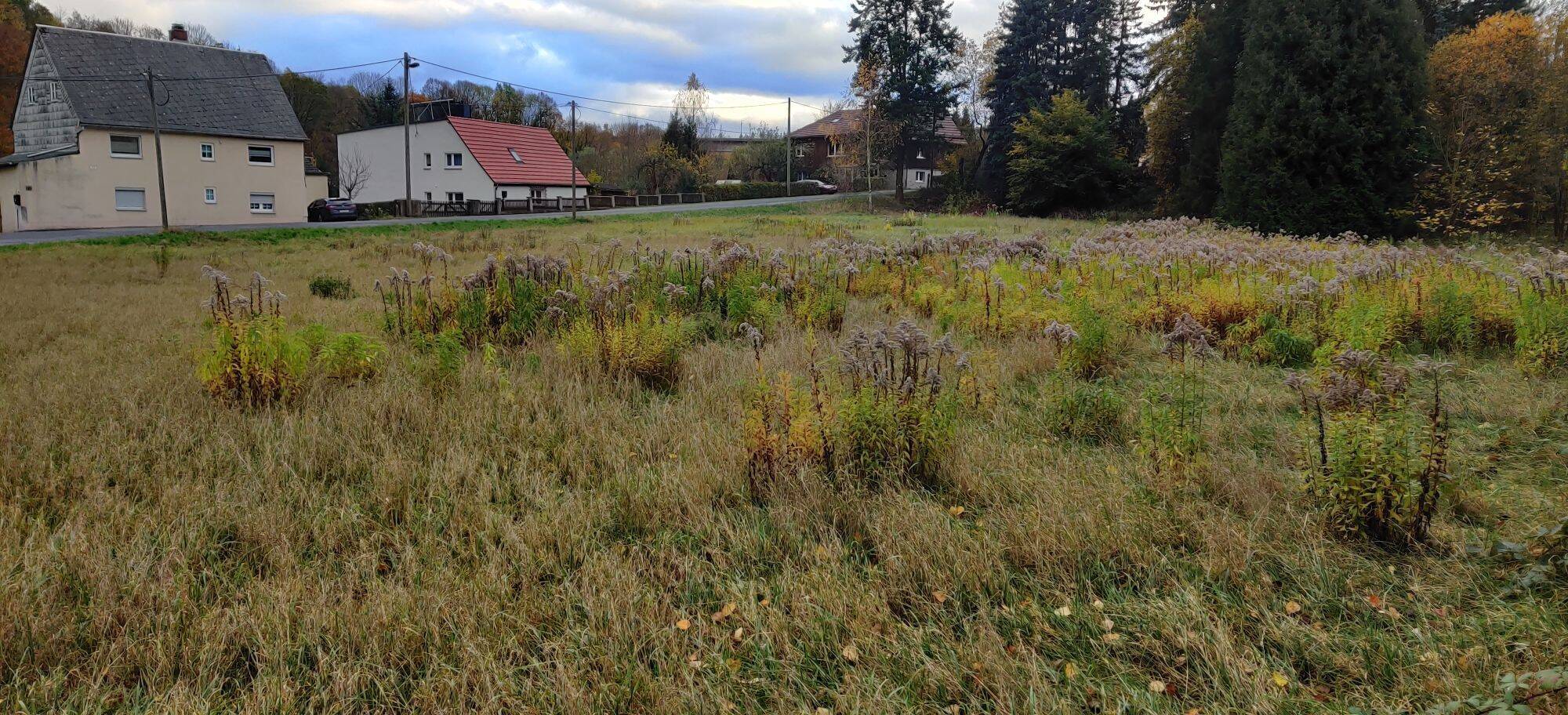 Bauland in Flöha, OT Falkenau, 9557 Flöha