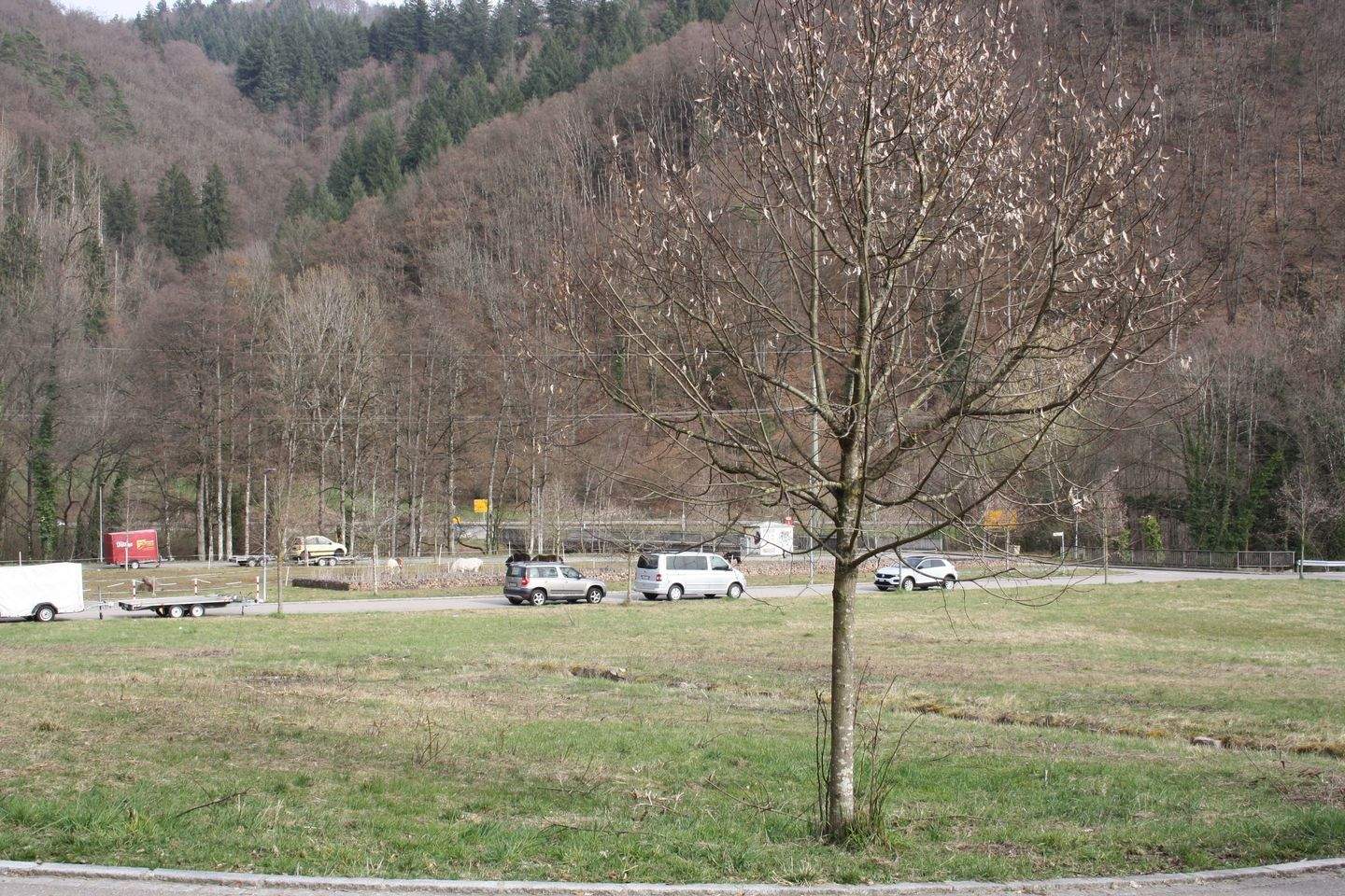 ein wunderschönes Grundstück mit kleinem Bächlein ..jetzt wird Ihr Traum vom eigenen Haus wahr…, 79688 Hausen im Wiesental