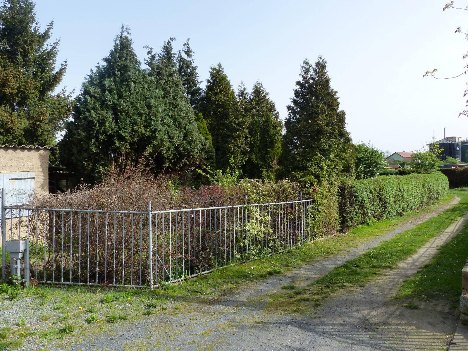 Bild 6