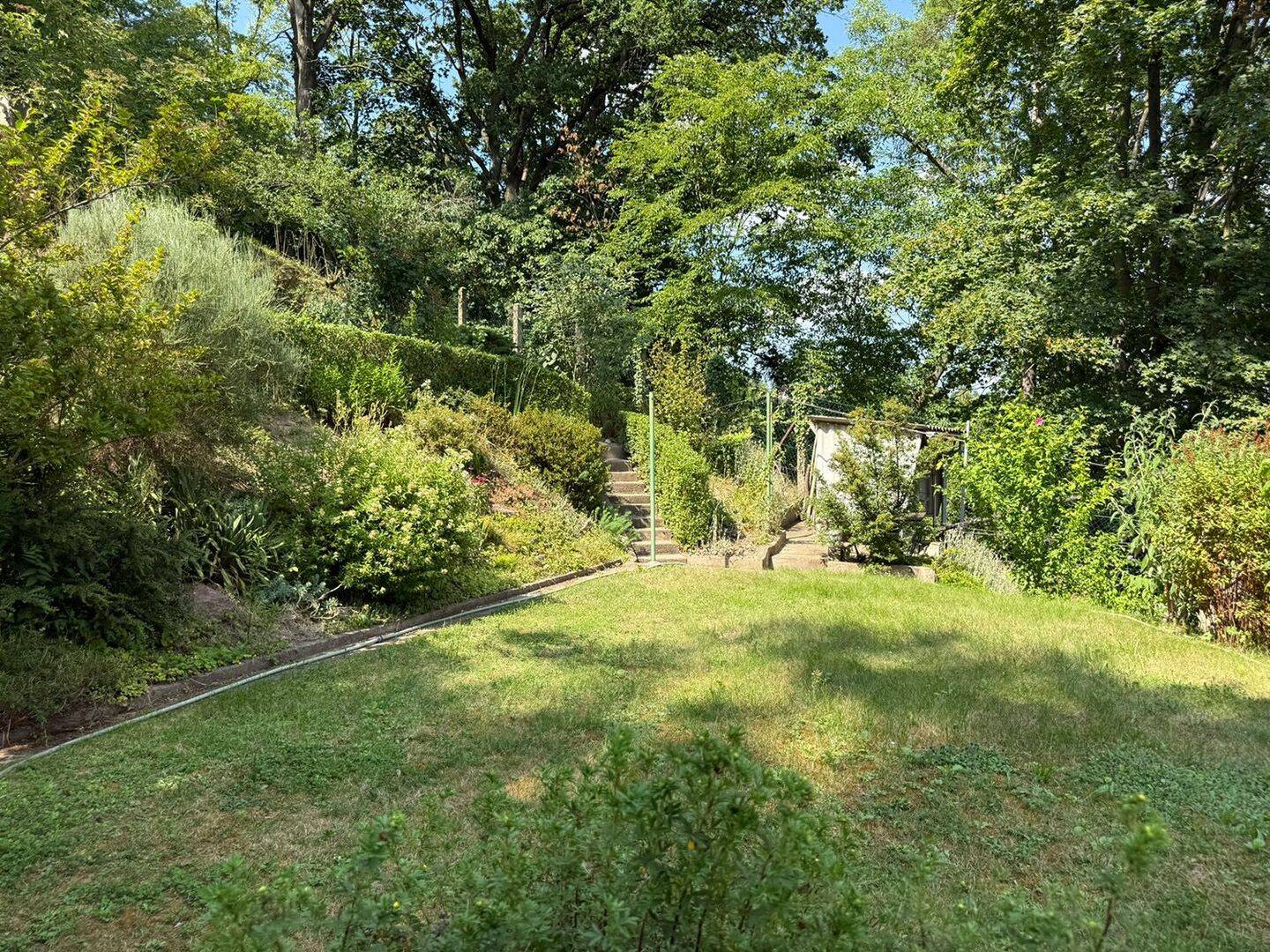 Bild 7