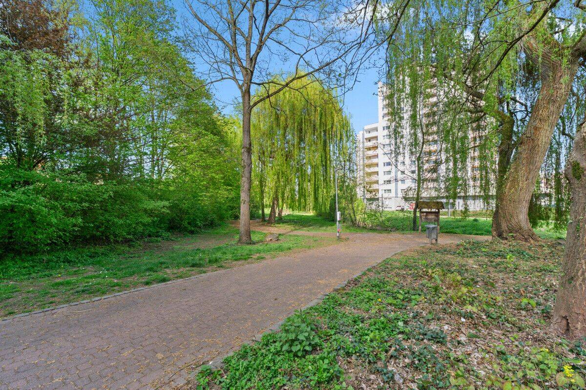 Bild 10