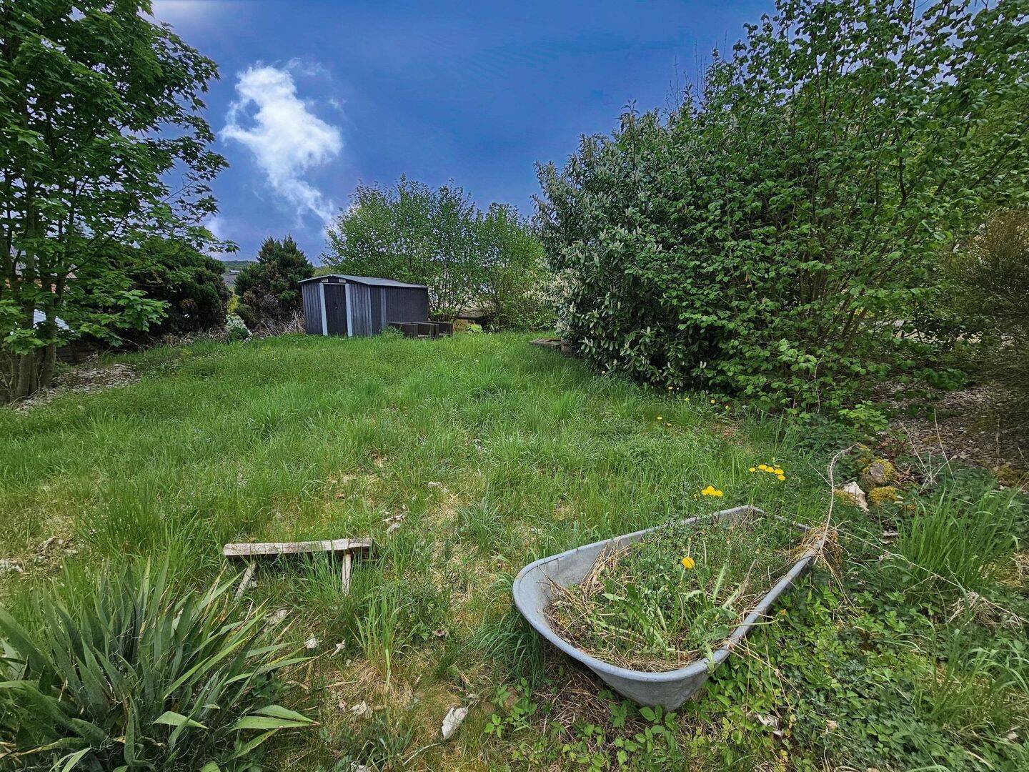 Bild 8