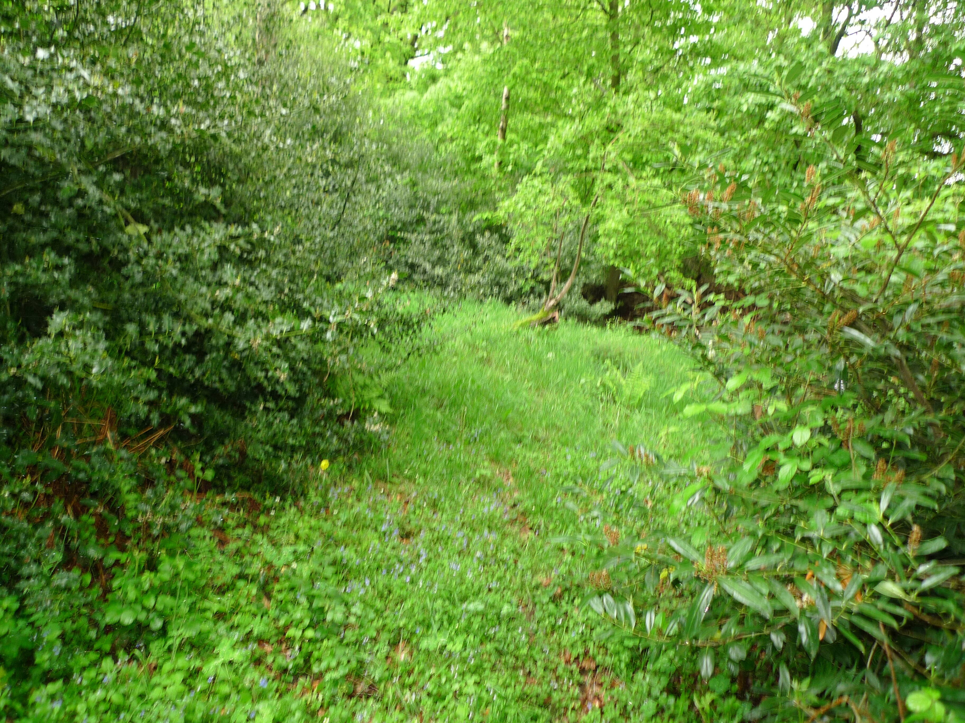 Bild 5